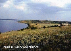 Спрос на землю в Одесской области